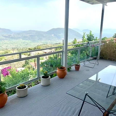 Daire τequila Sunrise